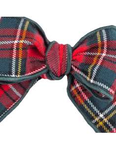 77078 PINZA PARA EL PELO BIDASOA CALAMARO 2