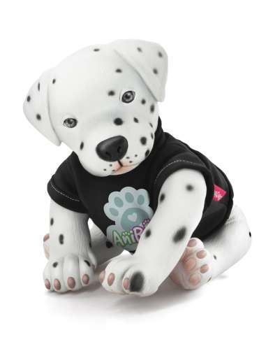 Dalmata dog