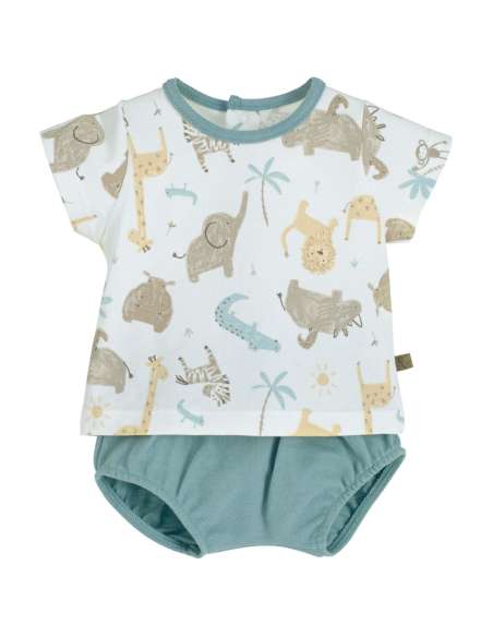 11136 Java Pololo Set Calamaro