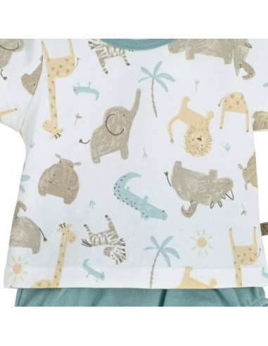 11136 Conjunto Pololo Java Calamaro