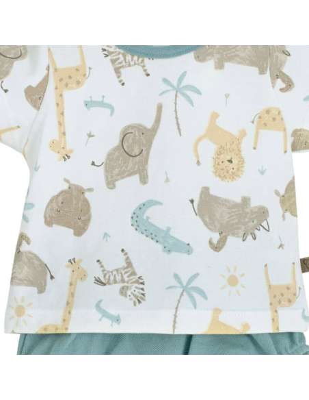 11136 Conjunto Pololo Java Calamaro