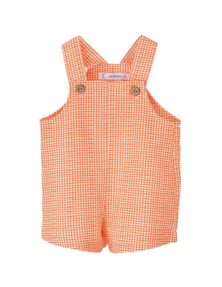 32485 Tasmanian bib Calamaro
