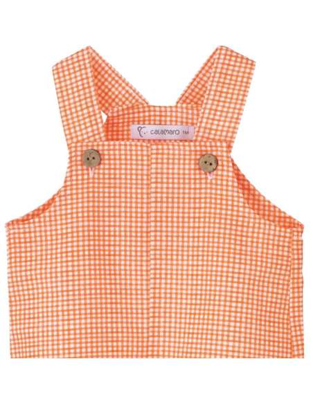 32485 Tasmanian bib Calamaro