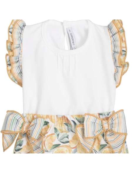 011318 Conjunto Pololo Indore