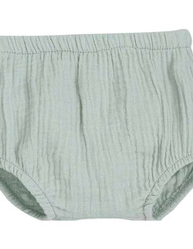 016069 Pololo Alboran Verde