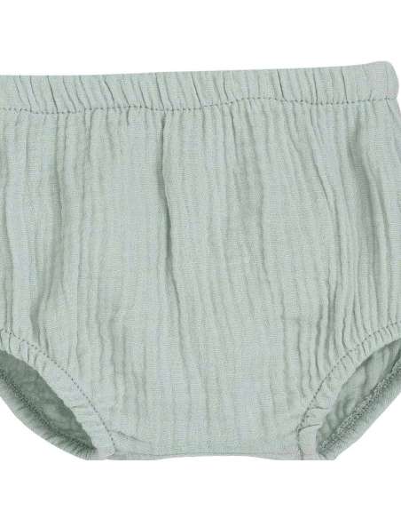 016069 Pololo Alboran Verde